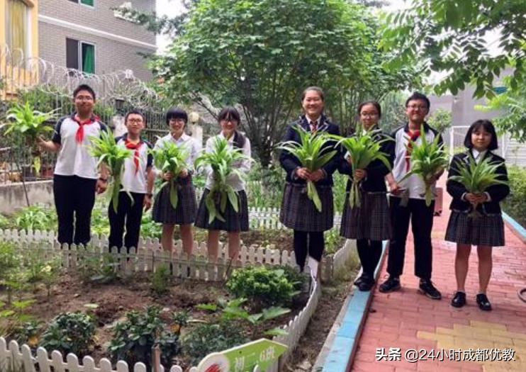 有情怀、国企管、小班化、性价比超高，尽在成都盐道街外语学校