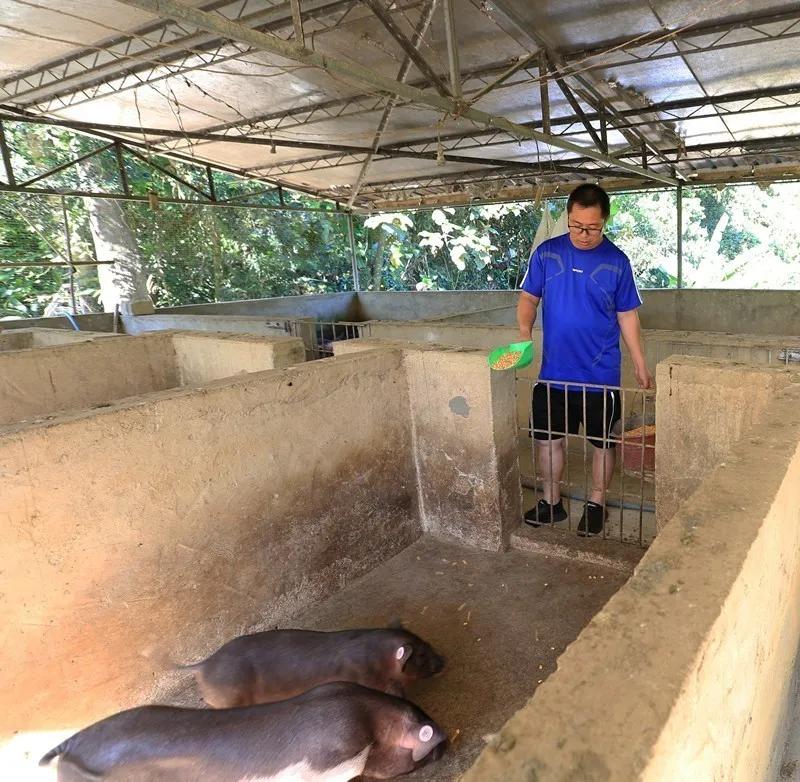 喻文波的传奇人生,喻文波彩虹岛