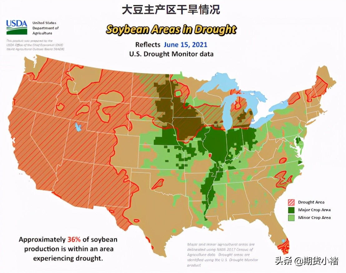 饲料企业提货慢,豆粕库存连增数周,美豆企稳在即,期货敢抄底?