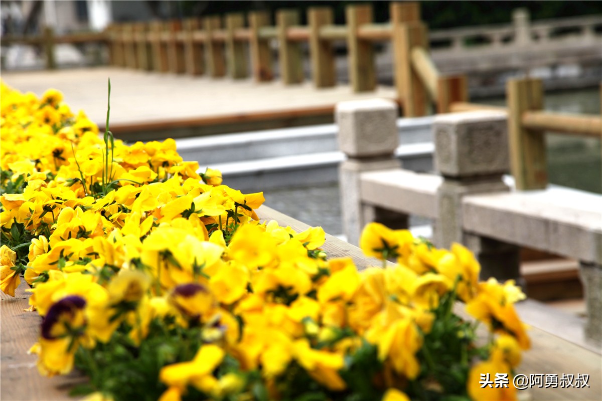全国百强高中苏州有几个,苏州实验中学科技城校区