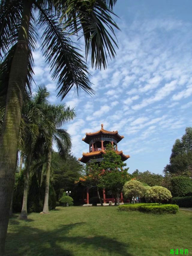 广州莲花山游记,广州莲花山风景
