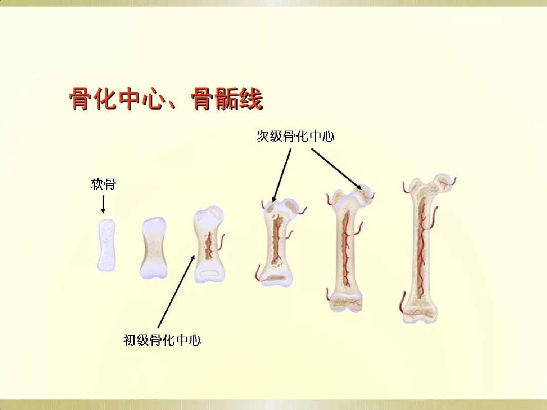 骨科x光片读片技巧,放射科骨科读片教程