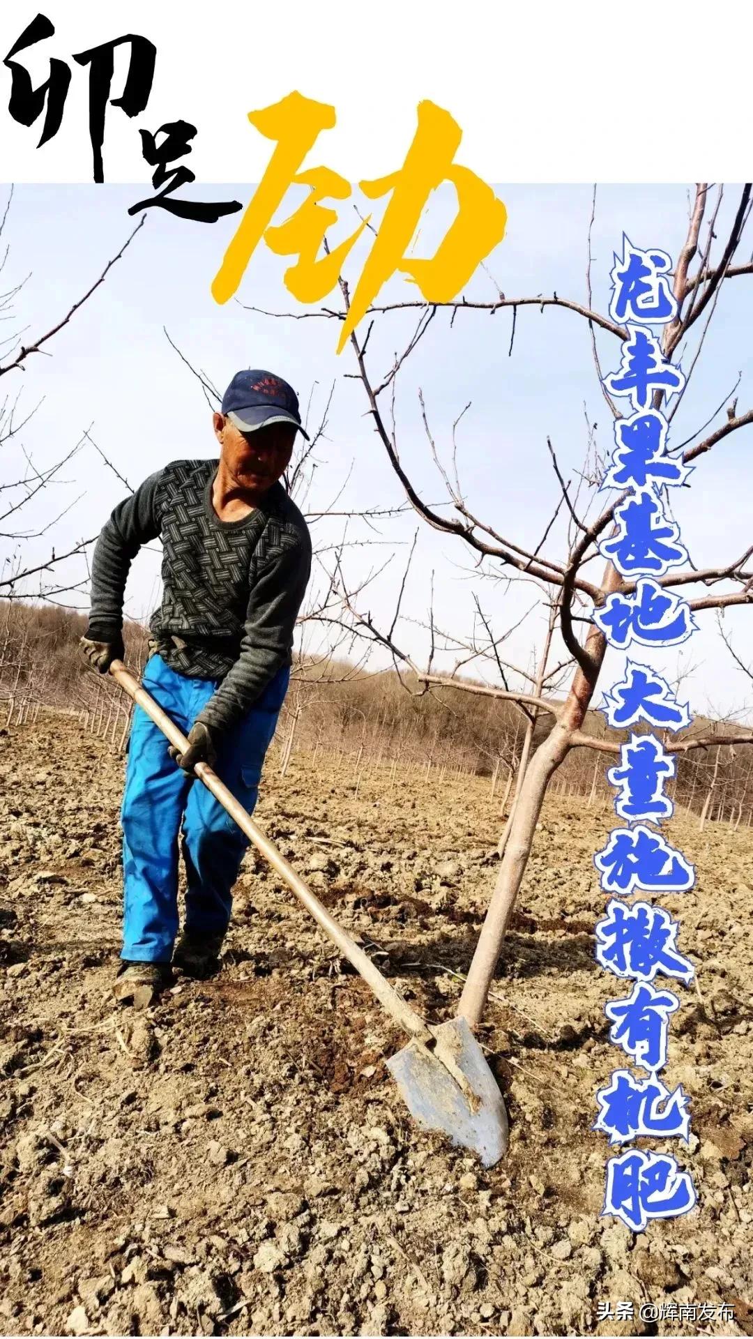 双龙村水田,辉南镇双龙村篮球赛