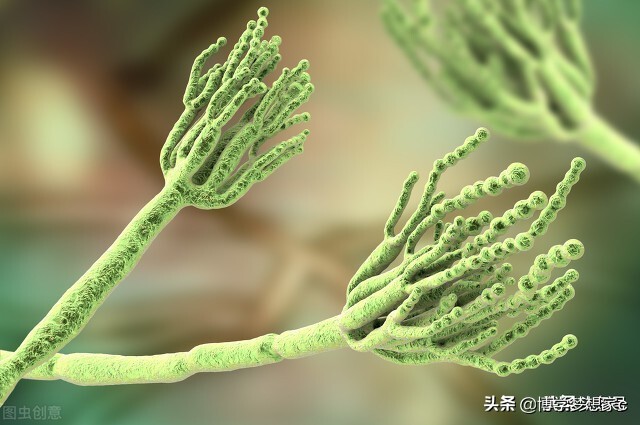 治疗脚气的药品有哪几种,和金达克宁类似的脚气药