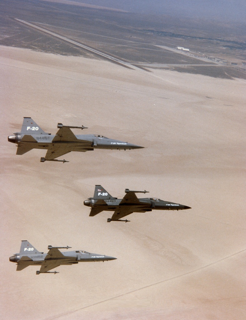 虎鲨悲剧,极富悲剧色彩的虎鲸