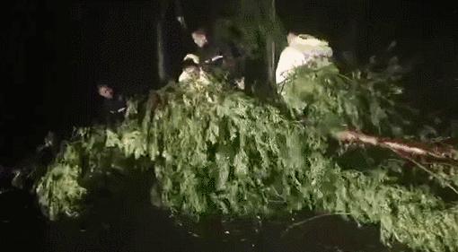 十一号台风最新情况,2023台风最严重吗