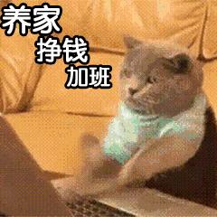 相比小清新，恶女风似乎更胜一筹！看看她们就懂了