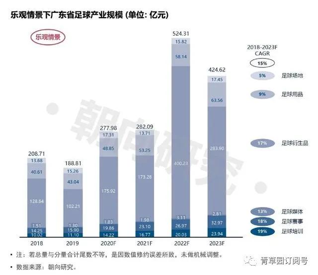 广东省足球产业报告,足球产业最新消息