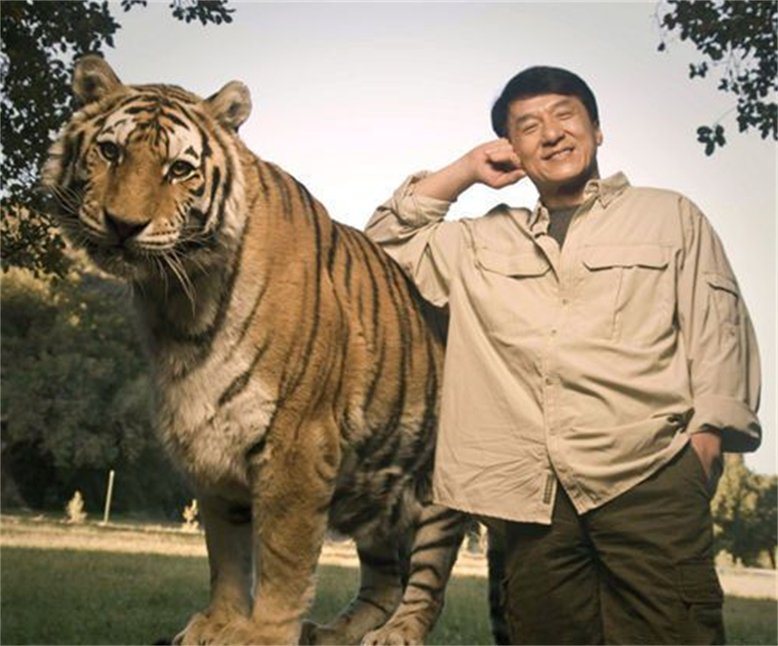 任何猫后颈被抓住猫都无法动弹吗,抓猫的后颈为什么猫不反抗