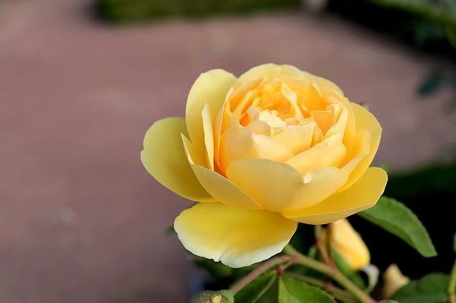 一念天堂一念地狱放下执念,一念天堂一念地狱从此无念