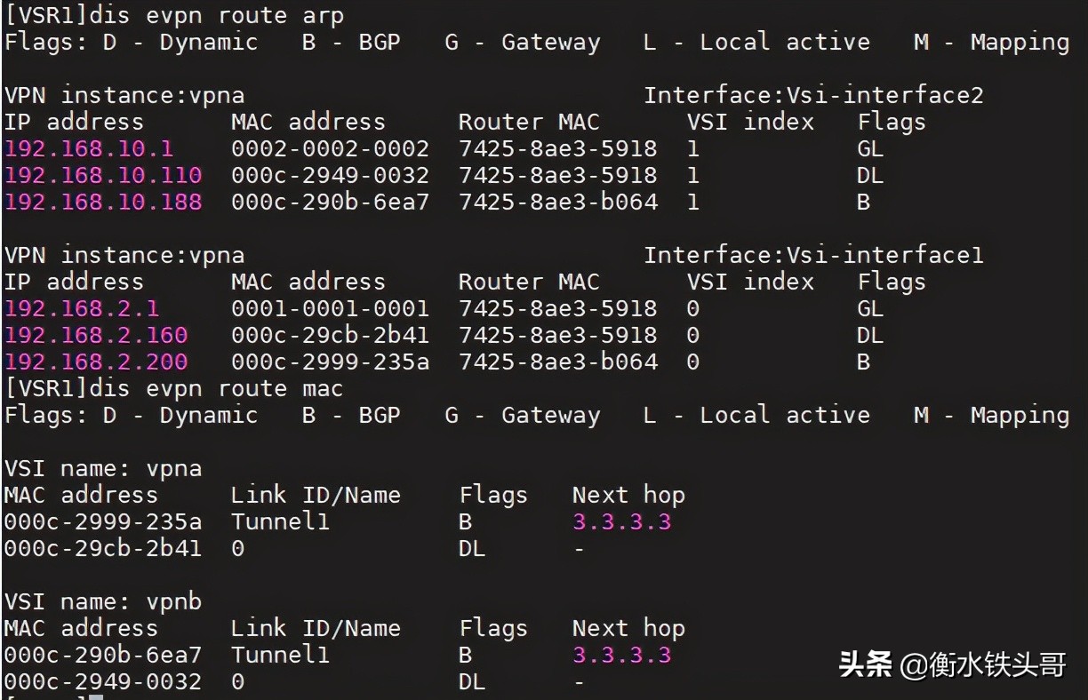 EVPN小实验：分布式EVPN网关配置