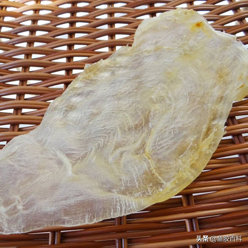 鱼胶真的有那么多胶原蛋白吗,鱼胶揭秘