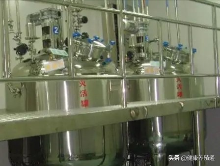 外购仔猪如何防病,养殖户自购疫苗注意事项