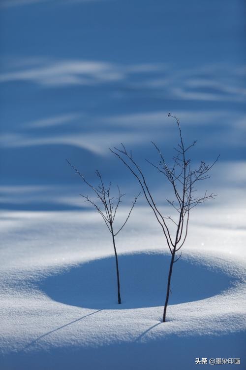 手机摄影拍出大片的感觉的方法,怎样拍出简单又高级的手机摄影