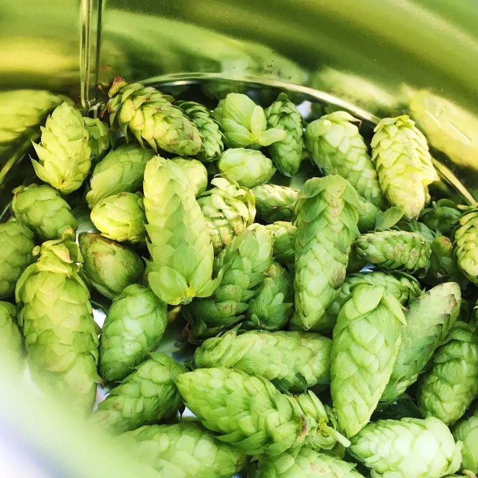 广州精酿啤酒打卡,好喝又上头的精酿啤酒