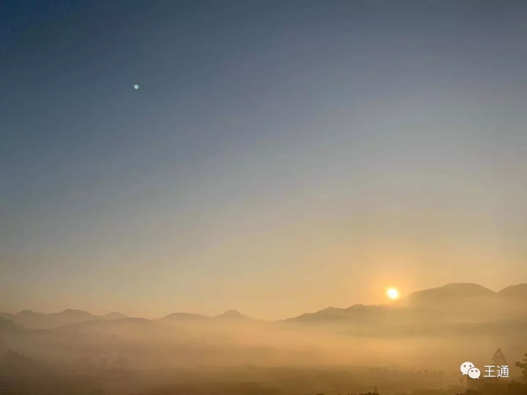 王通社群,社群营销每日运营表