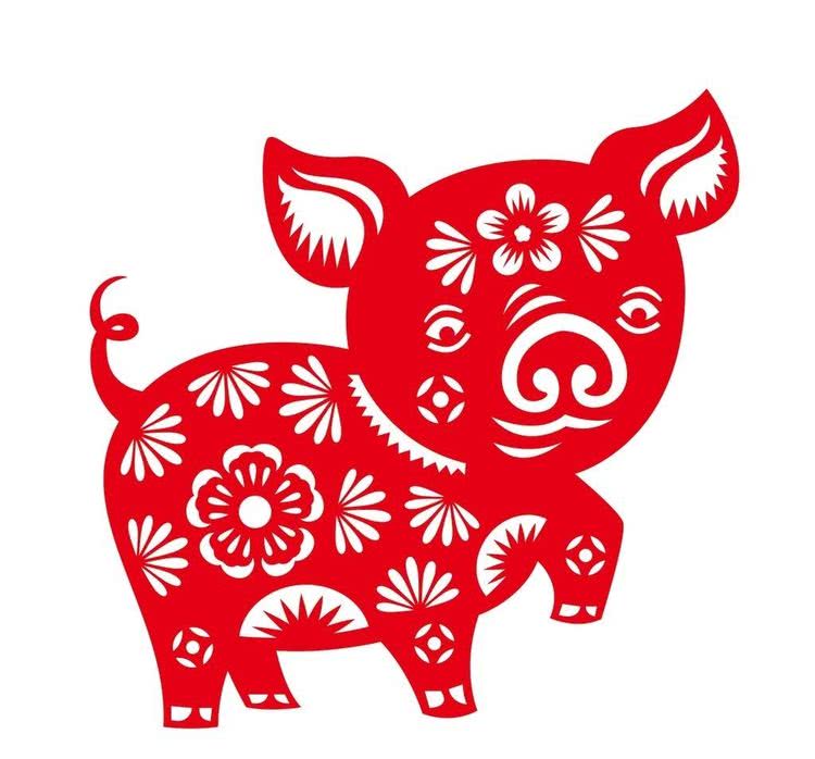 从丁亥到己亥—武昌水果湖中学六六届高三（1）班同学聚会本命年