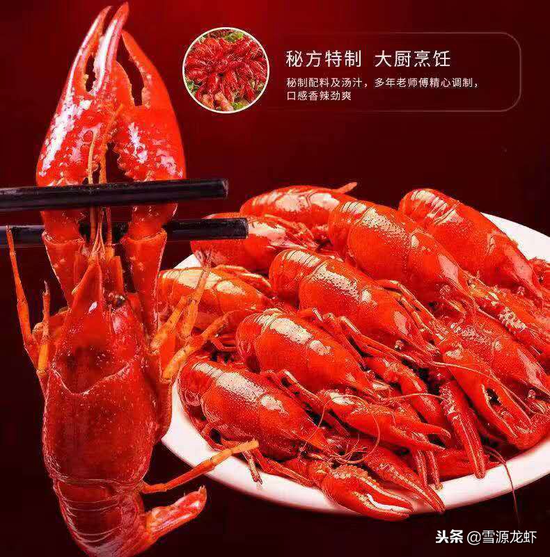 养龙虾需要具备哪些条件,龙虾养殖会遇到什么问题