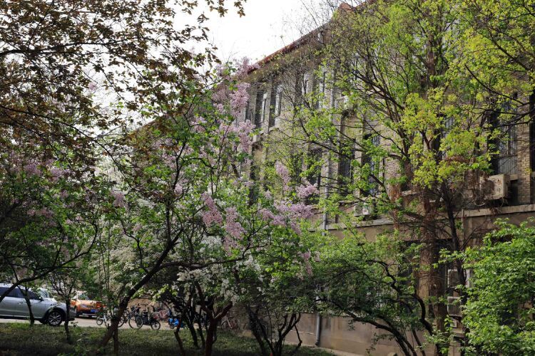 百年山东看青岛千年齐鲁逛青州,山东大学趵突泉景区