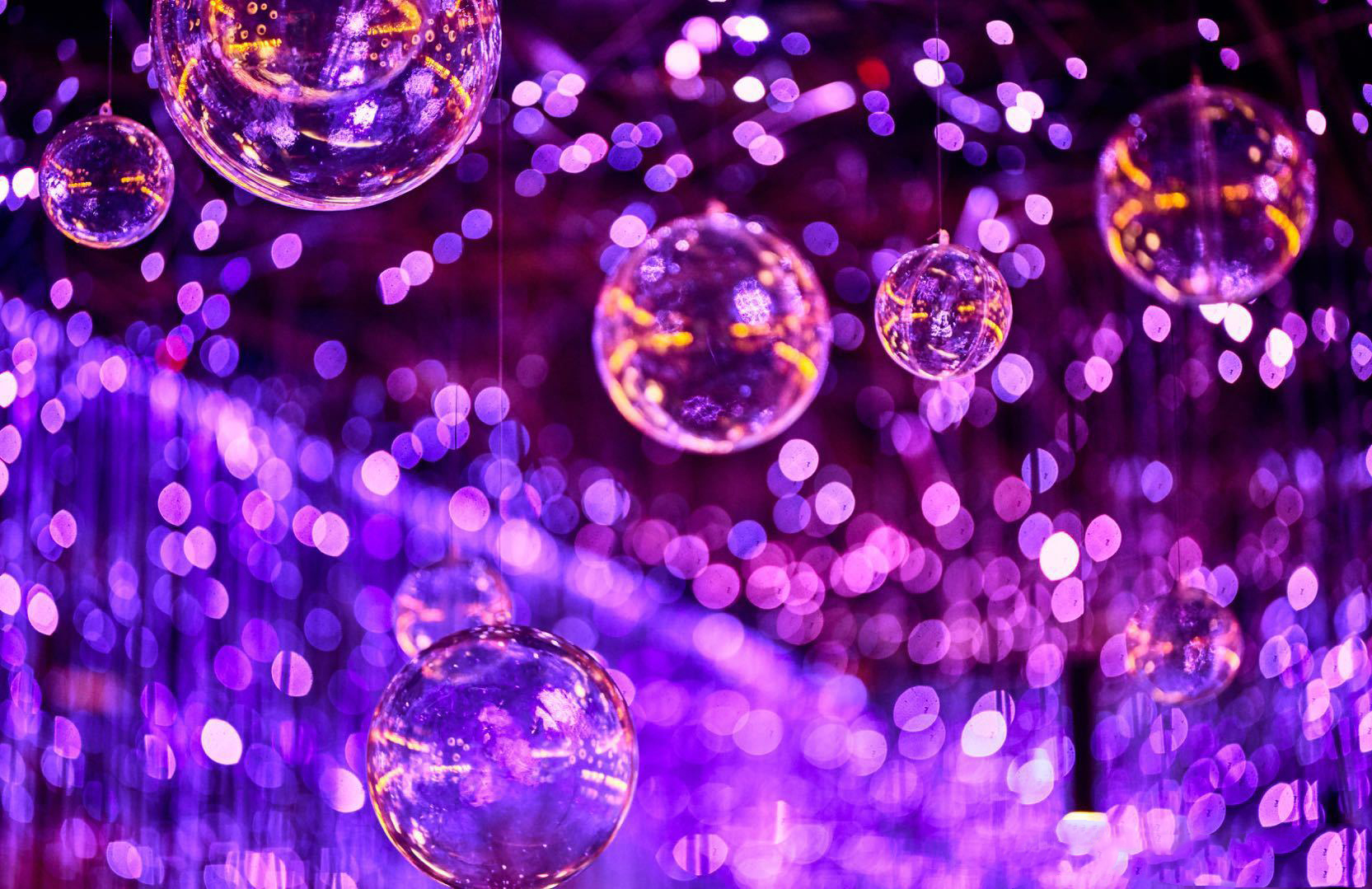 海口好吃的烤鱼,海口美食推荐烤鱼