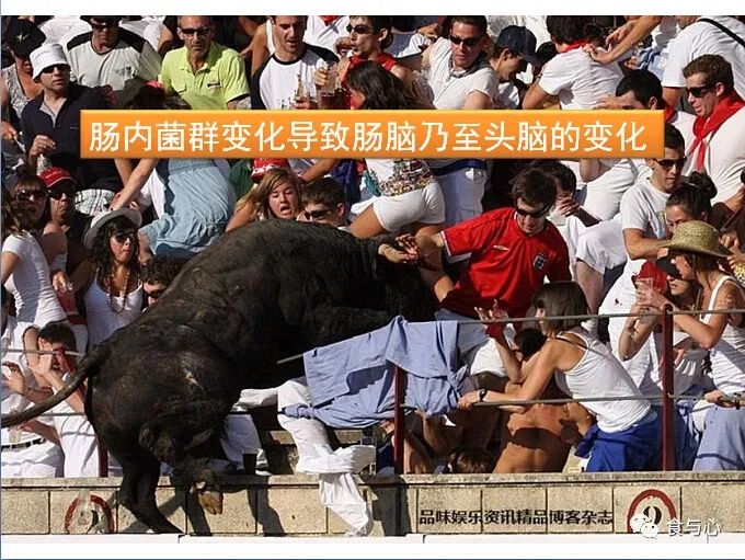 你在为谁吃饭？4第二基因组与行为改变—猫怕老鼠，老虎爱上羊