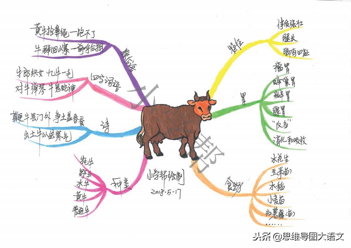 思维导图十二生肖文化知识,十二生肖思维导图并标上动物单词