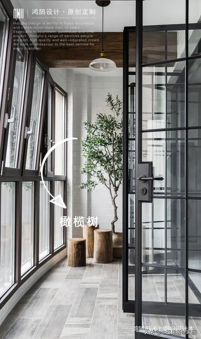 十款居家可养的植物,招财又好养的植物