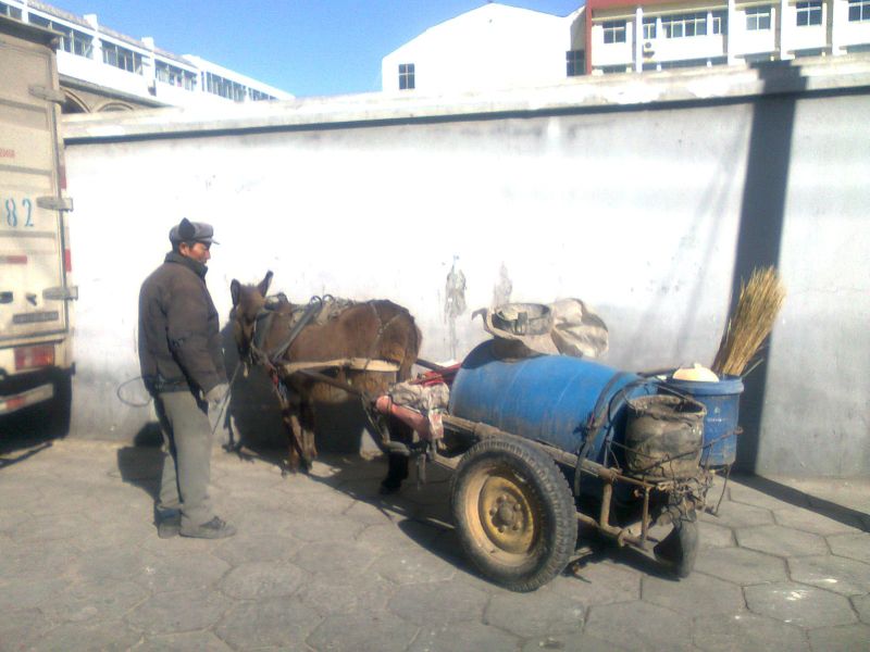 榆林城区街拍,陕西榆林街拍