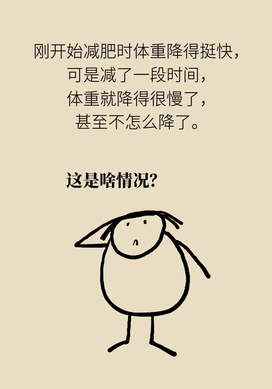 减肥减到平台期减不下来了咋弄,减肥减到了瓶颈期怎么继续减下去