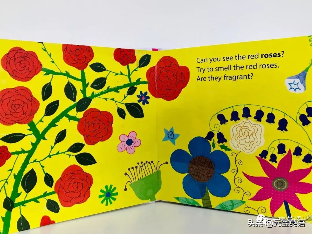 英语启蒙课测评,英语启蒙早教零基础测评