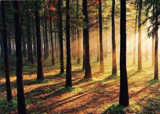 上海玩耍攻略,上海旅游景点交通攻略图