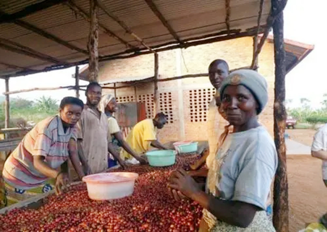 卢旺达：看不到脏乱差的非洲国家