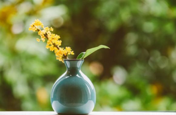 让身体越来越好的咒语,让身体恢复健康的咒语