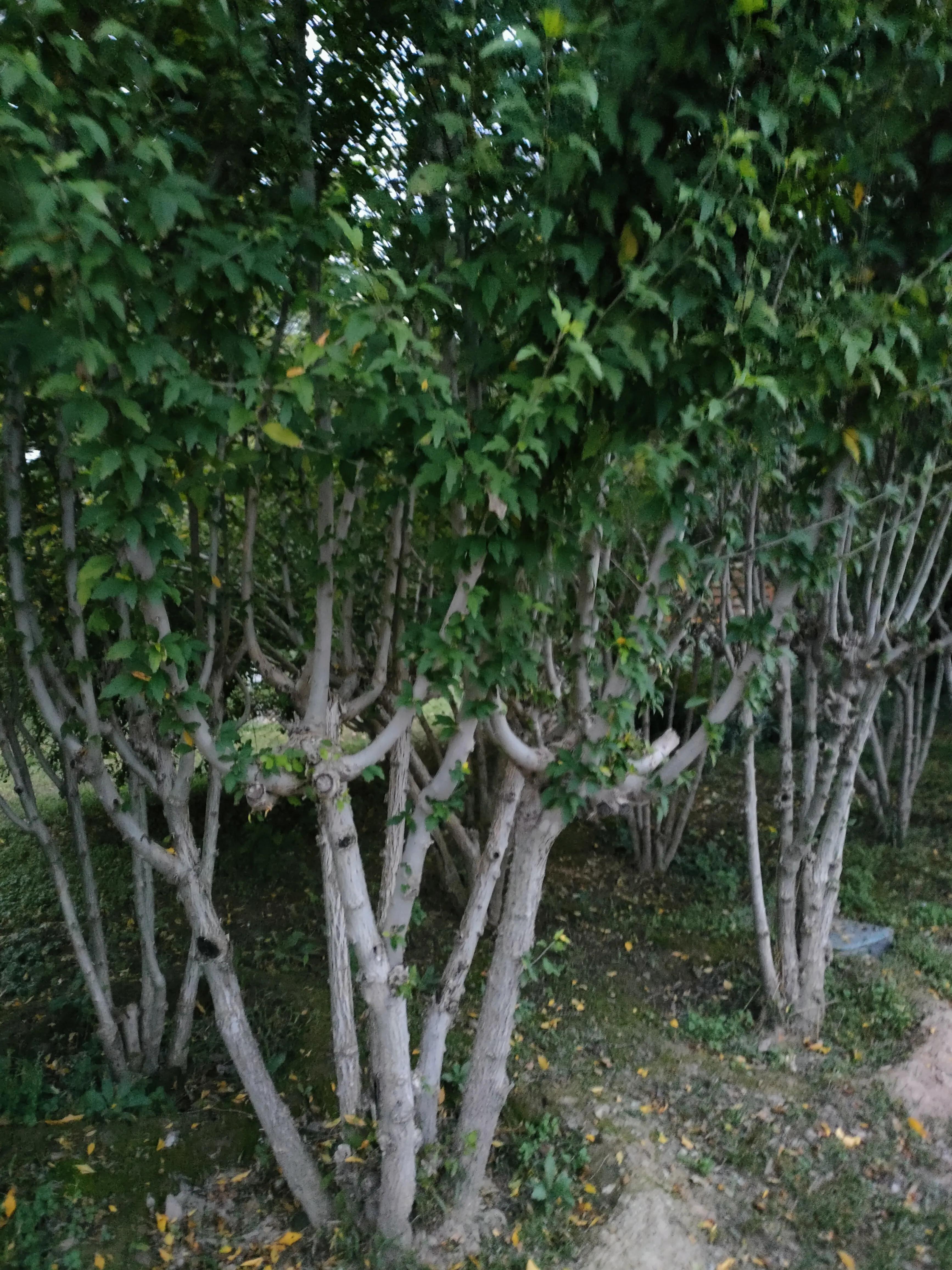 游西安曲江海洋极地公园,国庆去西安海洋极地公园