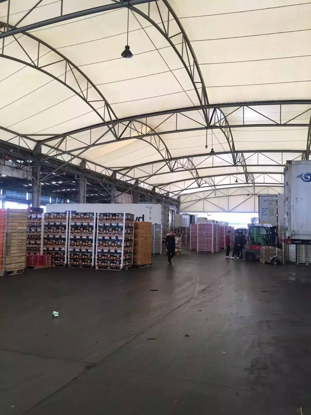 各国脐橙产量,全球柑橘排行榜