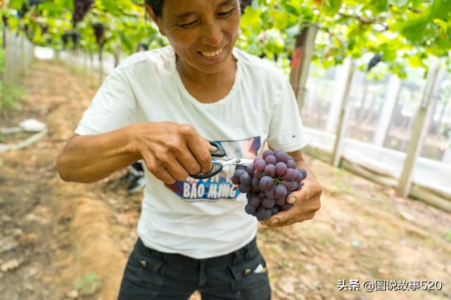 河北最为低调小城:为韩愈祖籍地,曹操《观沧海》中的碣石在这