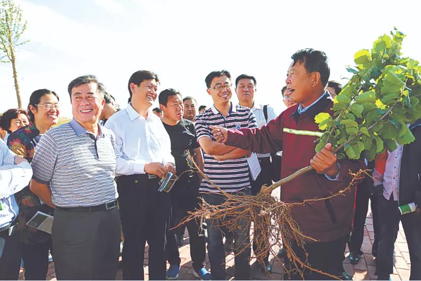 魏本欣,魏本欣榛子