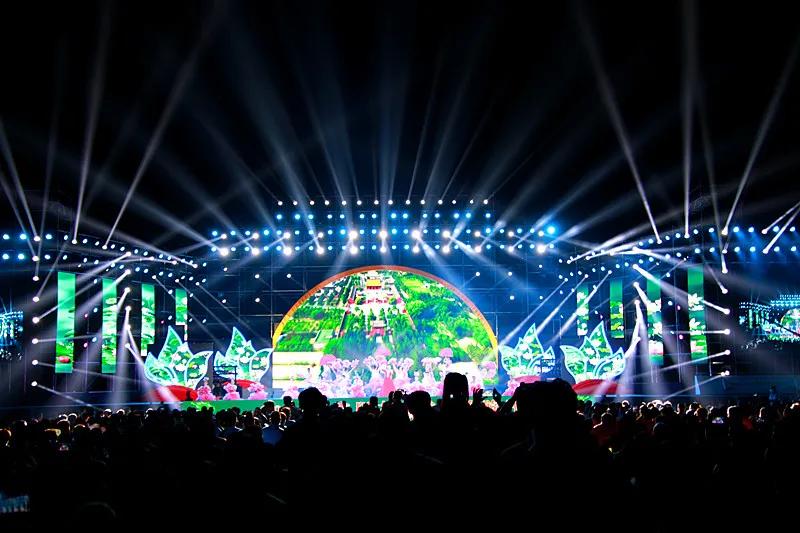 淮阳龙湖风景区荷花盛开,淮阳荷花风景区