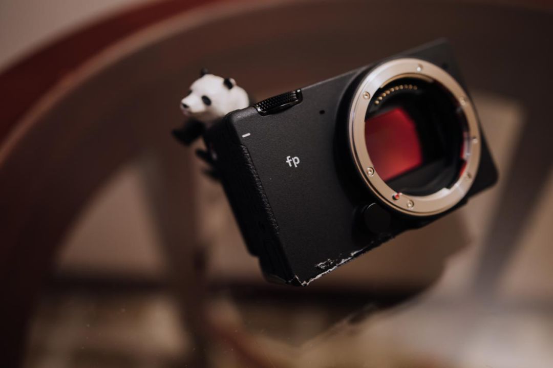 微单未来会取代单反吗,微单未来