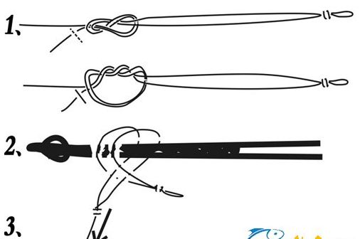 钓鱼初学,钓鱼初学教程