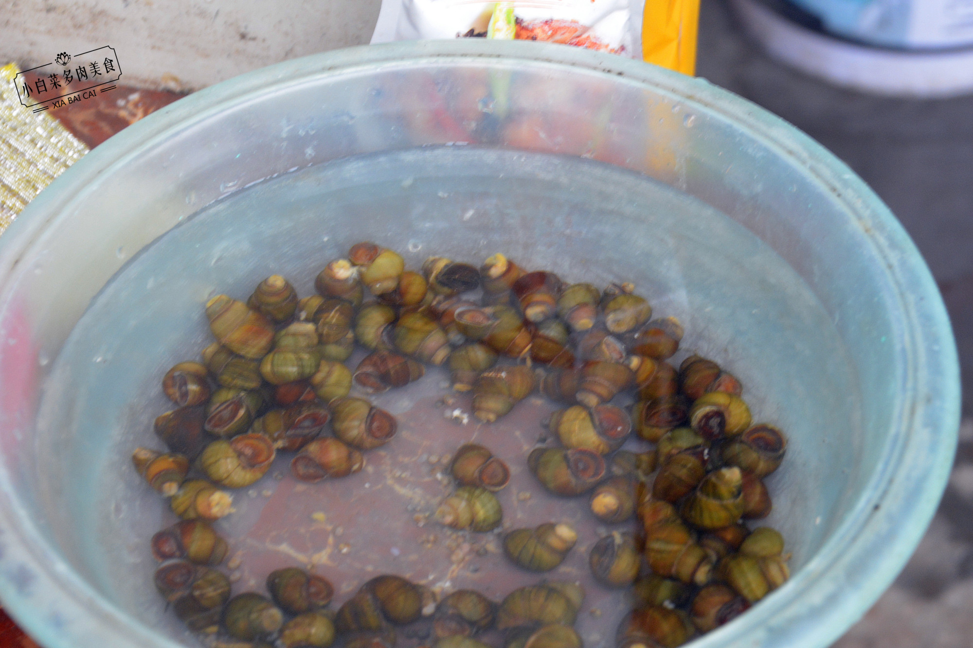 为什么螺蛳炒之前烫一下,大螺蛳怎么用牙签吃正确图片