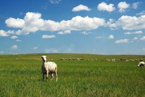 中国内蒙古特点,中国内蒙古自治区
