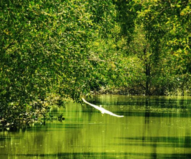 珠海小九寨沟旅游详细攻略,珠海旅游攻略必去景点排行榜