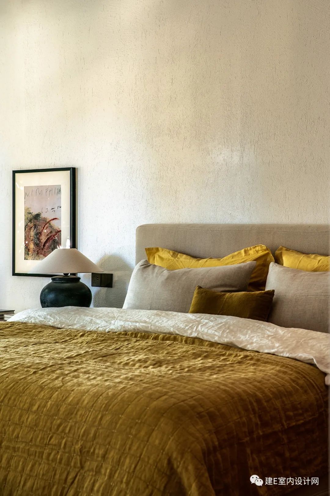 乘风破浪谢柯,谢柯个人简历