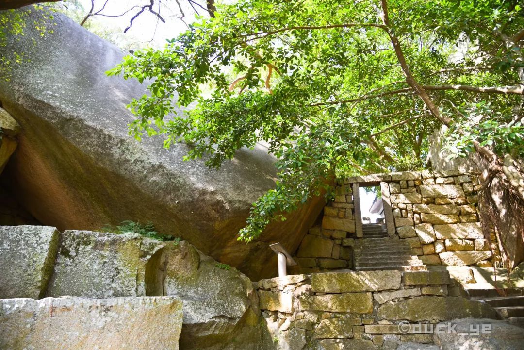 鼓浪屿一日游吃什么,鼓浪屿适合老人旅游攻略