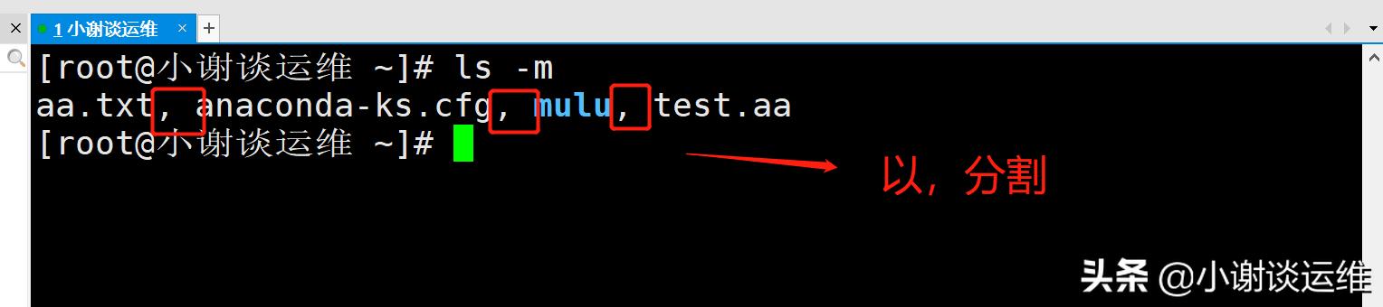 云计算自动化运维之Linux-ls命令详解
