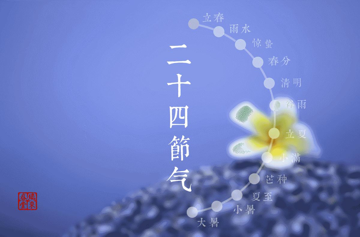 二十四节气简约风插画,二十四节气照片美到窒息