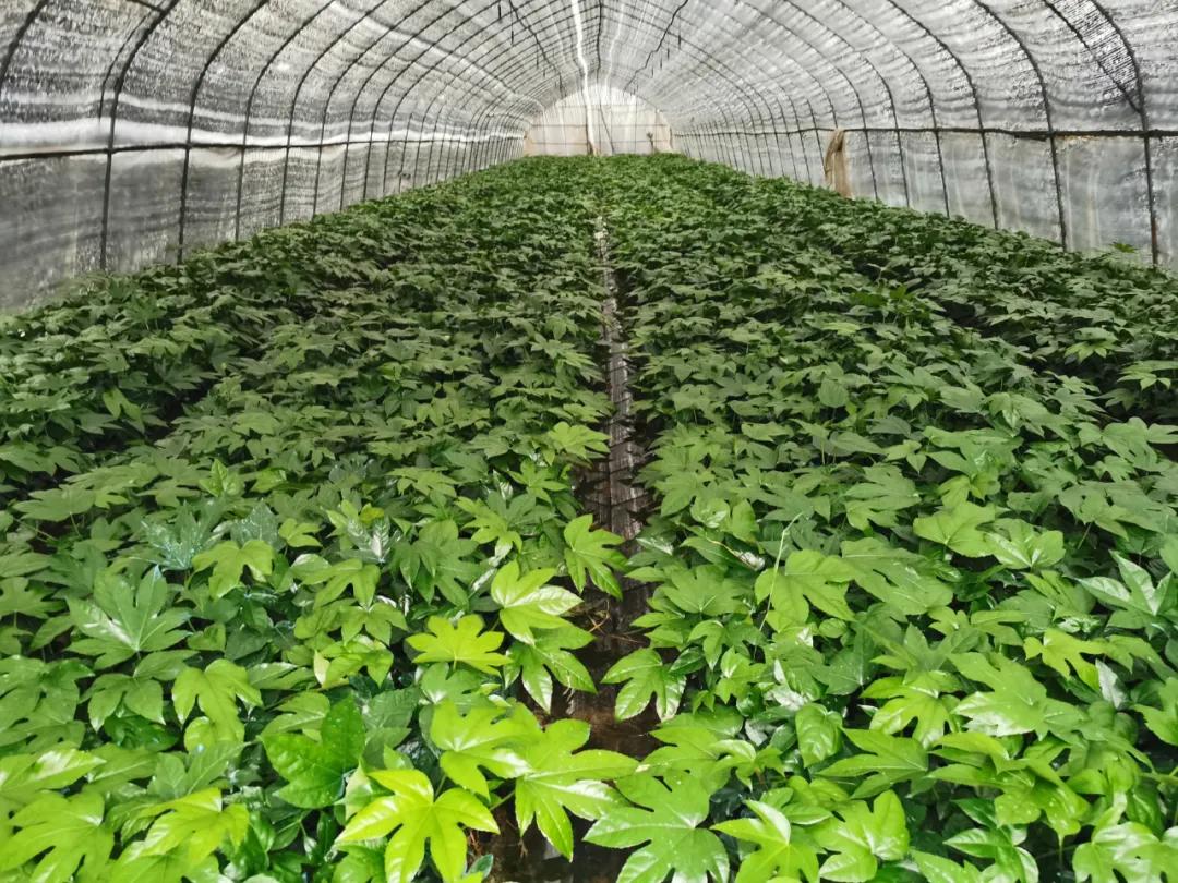 从业25年，她没赔过钱！你信吗？