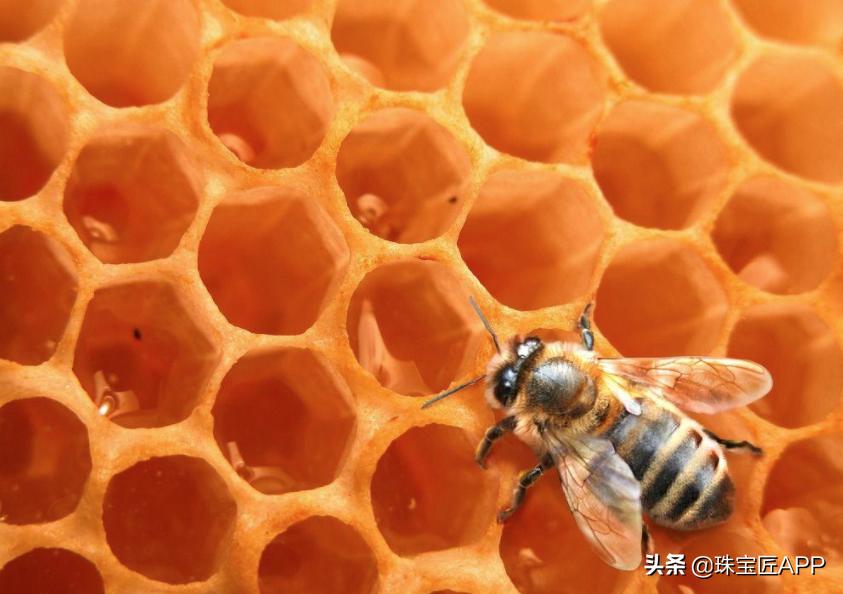 小蜜蜂珠宝是哪个品牌,蜜蜂标志是什么珠宝牌子