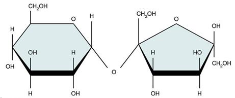 糖瓜粘和灶糖,糖瓜粘住灶王爷的牙